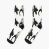 ursocks flatlay mediumsquare1000x1000 bgf8f8f8.1 4 - Dandadan Store